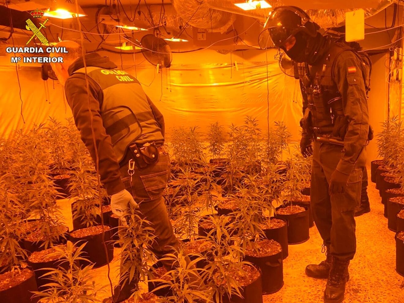 Guardia Civil durante la desmantelación en las urbanizaciones calpinas
