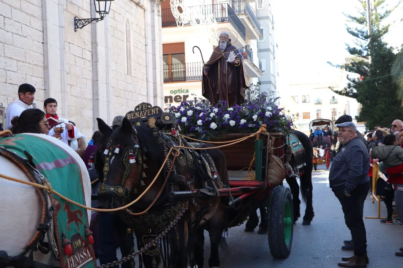 Imagen de Sant Antoni en la bendición de animales en Benissa de 2023