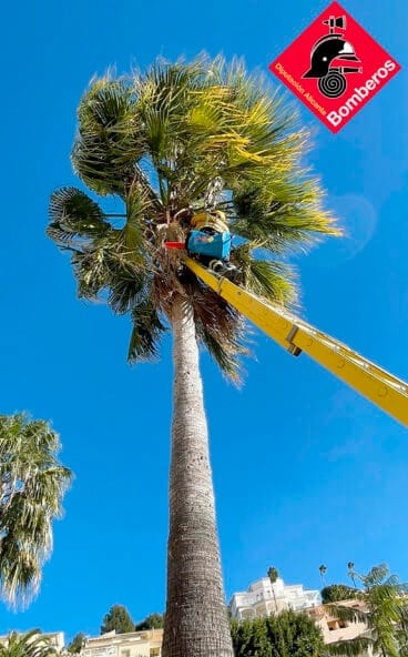 Los Bomberos rescatando al gato en Teulada Moraira