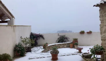 Manto blanco en un jardín de la Vall d’Alcalà