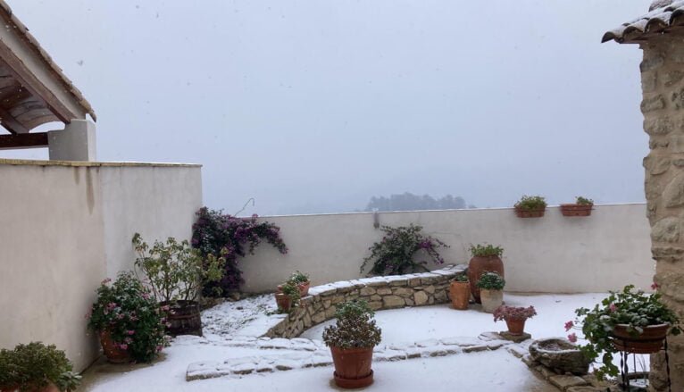 Manto blanco en un jardín de la Vall d'Alcalà