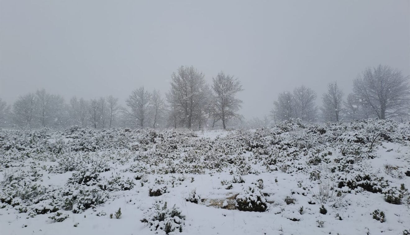 Nevada en la Marina Alta 1