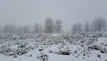 Nevada en la Marina Alta 1