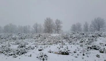 Nevada en la Marina Alta 1
