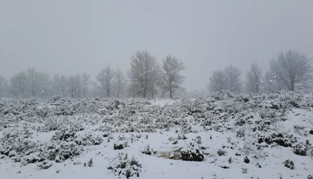 nevada en la marina alta 1