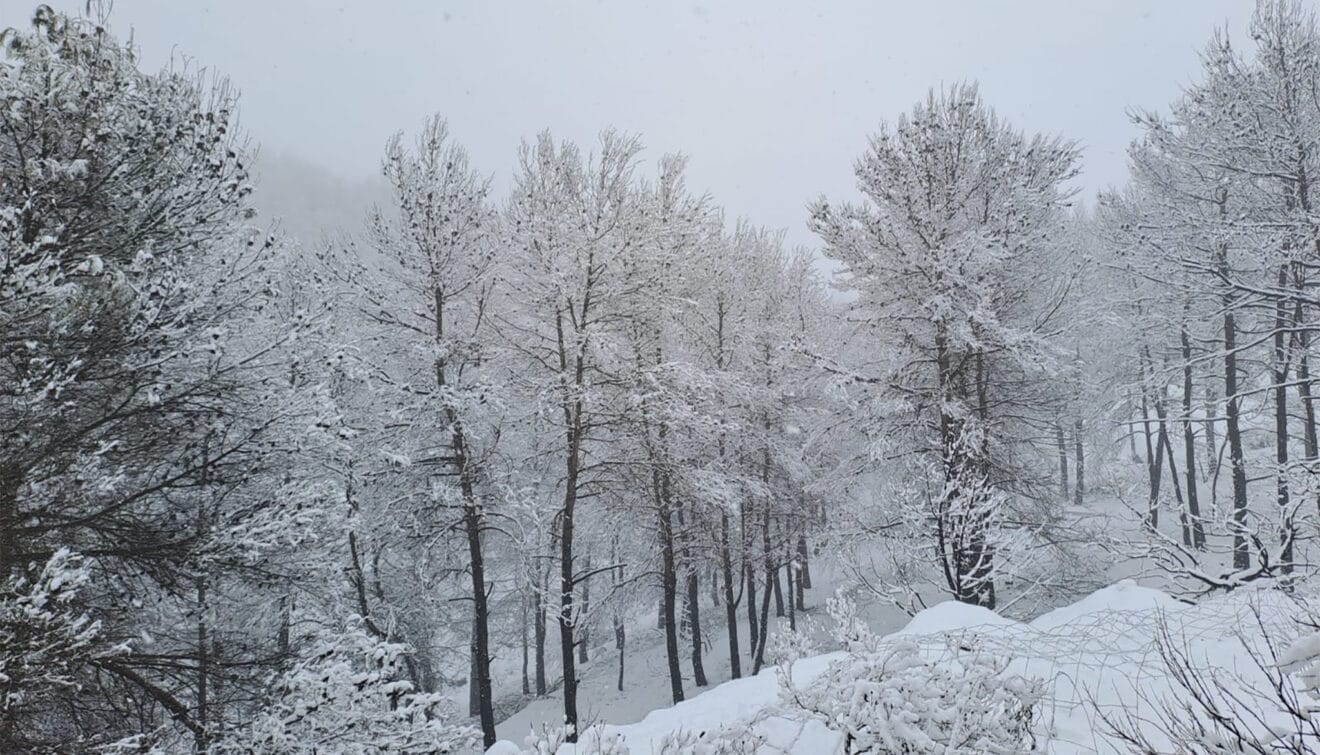 Nevada en la Marina Alta