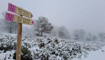 Nevada en la Marina Alta 3