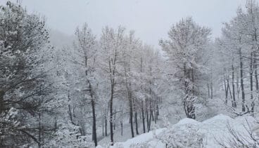 nevada en la marina alta
