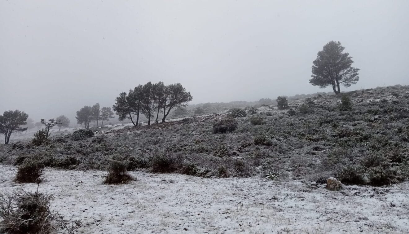 Nieve en el Coll de Rates