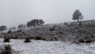 Nieve en el Coll de Rates