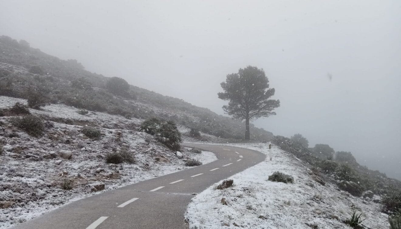 Nieve sobre el Coll de Rates