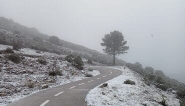 Nieve sobre el Coll de Rates
