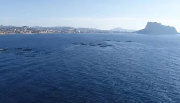 piscifactoria de calp