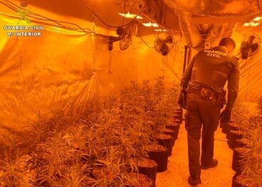 Plantación de marihuana desmantelada en Calp