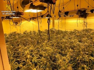 Plantas incautadas en Calp