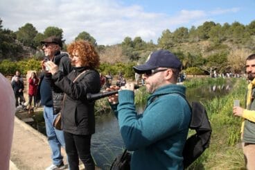 Baixà del riu Bullent de Pego en 2023 11