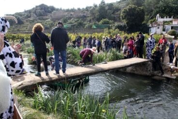 Baixà del riu Bullent de Pego en 2023 13