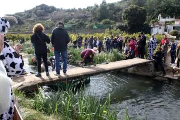 Baixà del riu Bullent de Pego en 2023 13