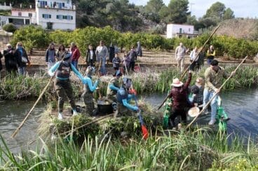 Baixà del riu Bullent de Pego en 2023 21