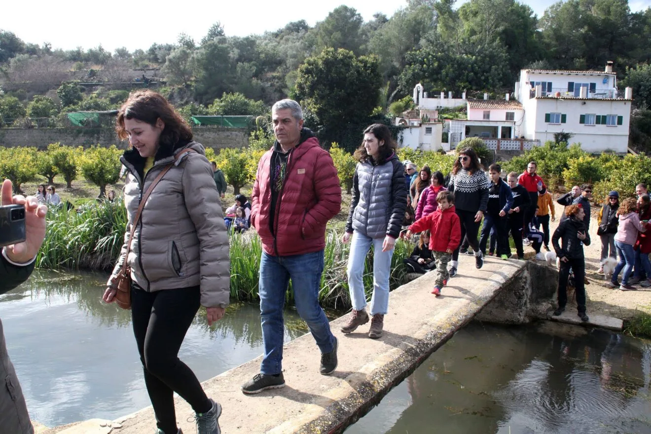 Baixà del riu Bullent de Pego en 2023 26