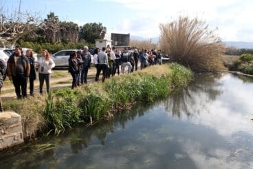 Baixà del riu Bullent de Pego en 2023 27