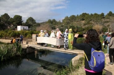 Baixà del riu Bullent de Pego en 2023 34