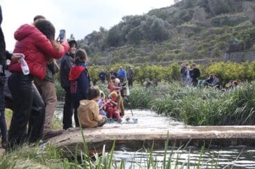 Baixà del riu Bullent de Pego en 2023 53