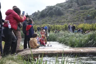 Baixà del riu Bullent de Pego en 2023 53