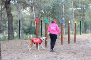 Inauguración del nuevo parque canino de Teullada Moraira 04