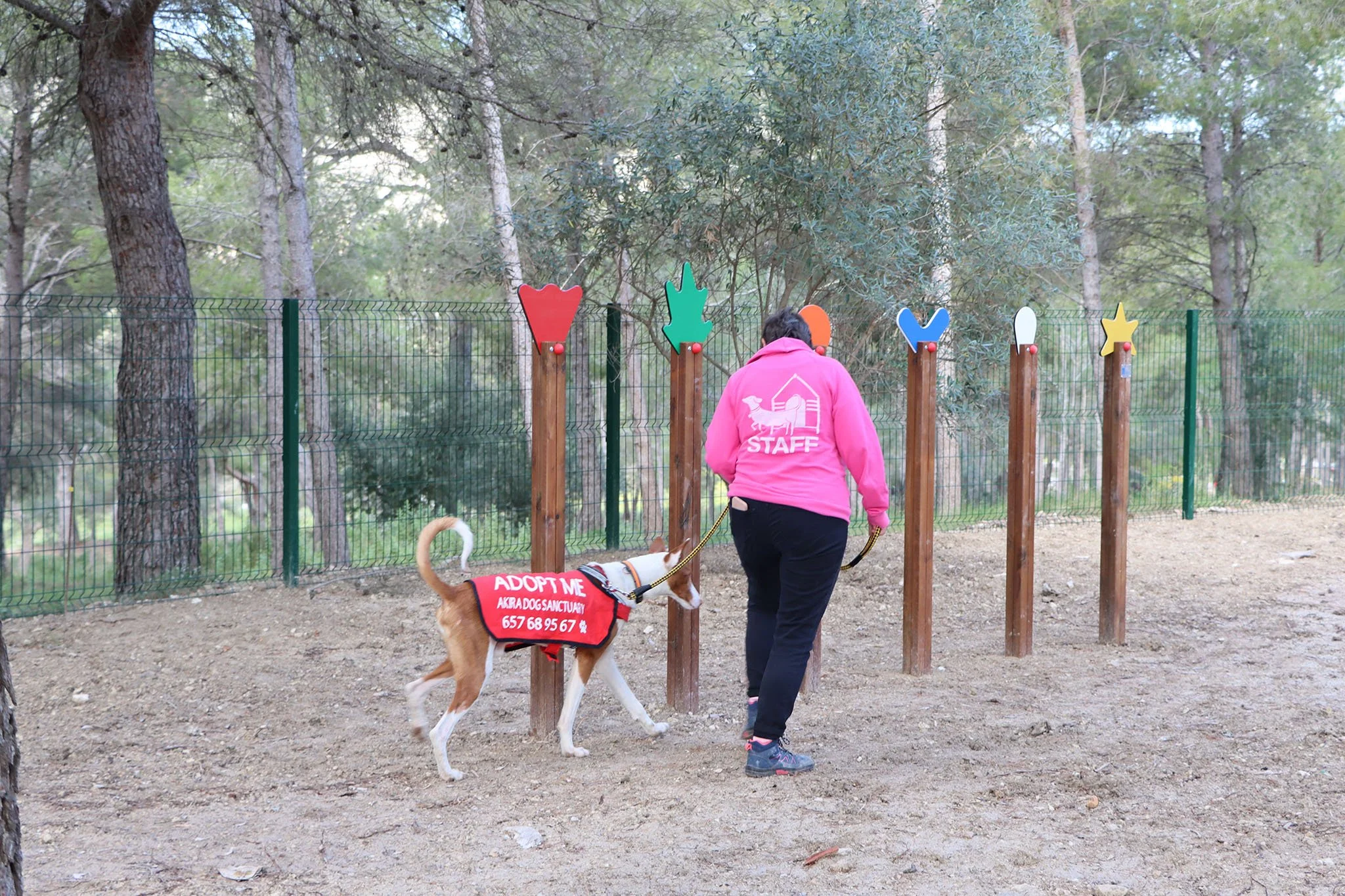 Inauguración del nuevo parque canino de Teullada Moraira 04