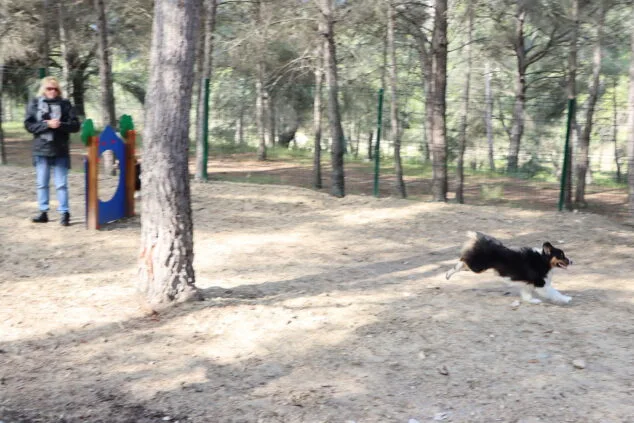 Los perros de Teulada Moraira ya disfrutan de su nuevo parque canino 9 inauguracion del nuevo parque canino de teullada moraira 11