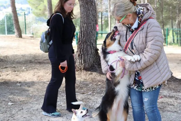 Los perros de Teulada Moraira ya disfrutan de su nuevo parque canino 12 inauguracion del nuevo parque canino de teullada moraira 14
