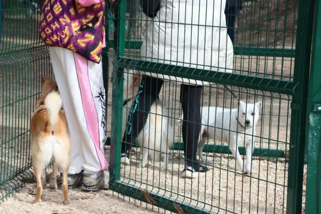 Los perros de Teulada Moraira ya disfrutan de su nuevo parque canino 14 inauguracion del nuevo parque canino de teullada moraira 16