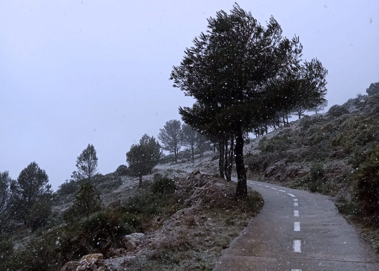 Nieve en Coll de Rates (Parcent)