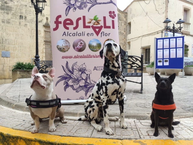 Imagen: Ruta pet friendly del Feslalí