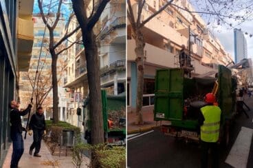 trabajos de poda en calp