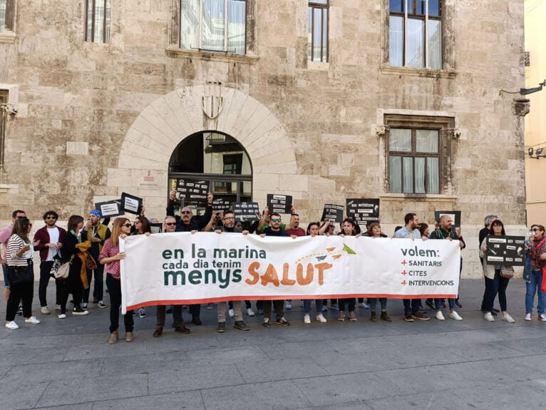Manifestación de sanitarios en València 06