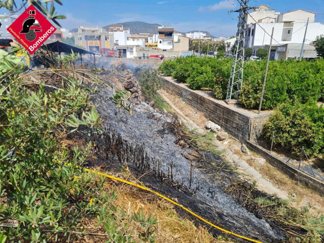 Imagen: Bancal y cañar quemado en el barranc de Benituba de Pego