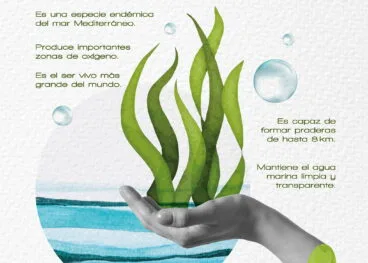 cartel de no son algas es posidonia de teulada moraira