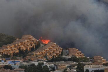 Llamas junto a las urbanizaciones en Moraira – Fran Martínez