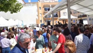 Magnífico ambiente con numerosas propuestas gastronómicas