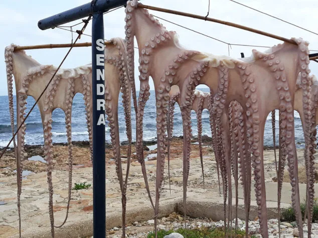 Imagen: Pulpo del Restaurante Sendra