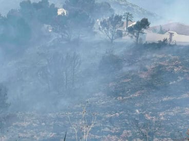 Raúl Llobell Signes, alcalde de Teulada-Moraira, comparte en redes sociales parte del terreno quemado en el término municipal