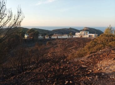 Terreno quemado en Moraira – Ayuntamiento de Teulada Moraira