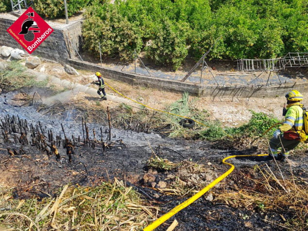 Imagen: Zona del barranc de Benituba de Pego con cañas quemadas