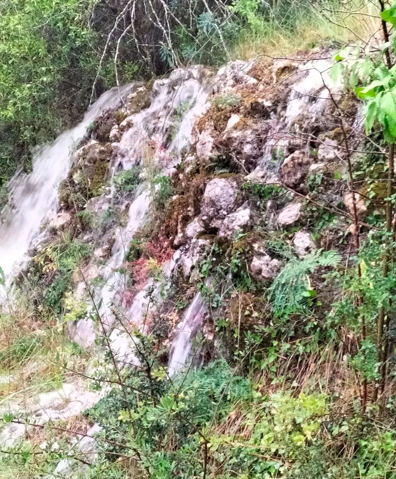 Agua acumulada fluyendo junto a los caminos de la Vall d'Alcalà
