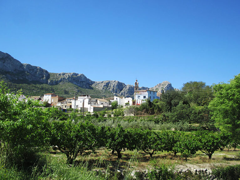 Campo de cerezas en la Vall de Gallinera