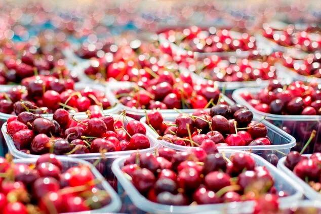 Imagen: Cerezas (archivo)