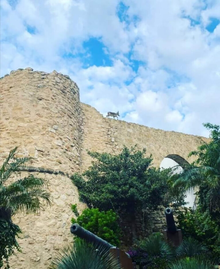 La cabra escapando del torreó de la Peça de Calp