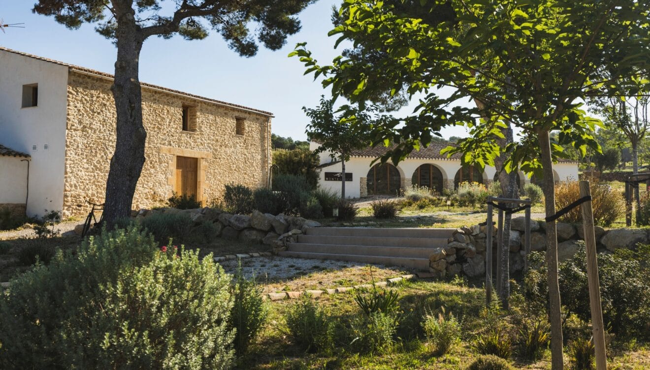 Aranleón Bodega